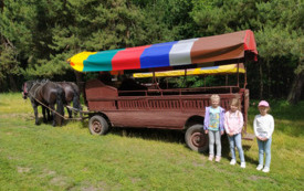 Galeria aktualności Wycieczka do Zaczarowanego Lasu w Piasku  1