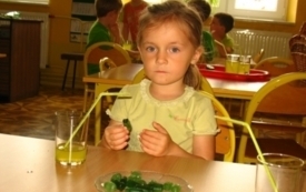 Galeria aktualności OBCHODY ZIELONEGO DNIA 9