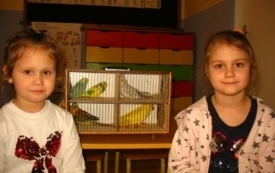 Galeria aktualności Papugi  4
