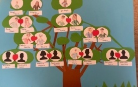 Galeria aktualności Drzewo genealogiczne 1
