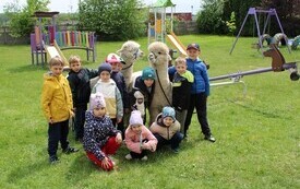 Warsztaty edukacyjne z alpakami 2026 1