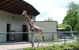 Wycieczka do ZOO w Łodzi  6