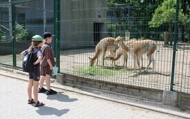 Wycieczka do ZOO w Łodzi  8