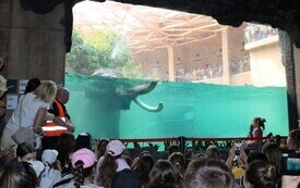Wycieczka do ZOO w Łodzi  13