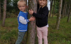 Galeria aktualności Przytul się do drzewa  2