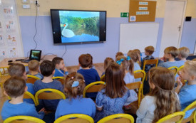 Galeria aktualności Międzynarodowy Dzień Przedszkolaka  10