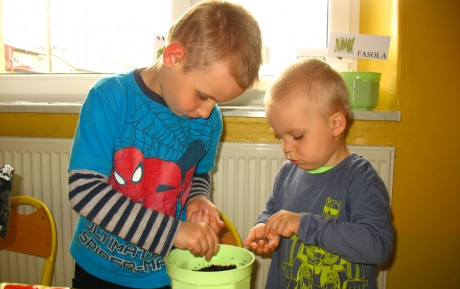 Zdjęcie do WYSIEW NASION WARZYW DO SKRZYNEK. 