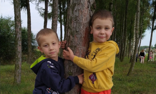 Zdjęcie do Przytul się do drzewa 
